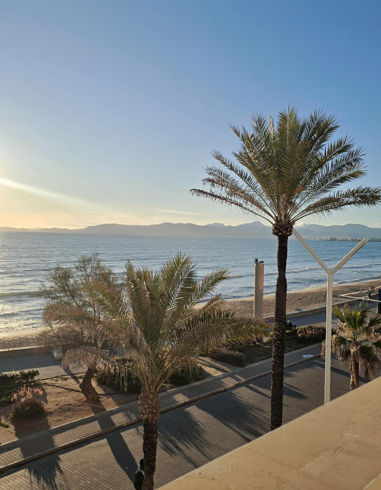 Q-Royal Hotel Playa de Palma  Ngoại thất bức ảnh